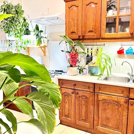 Danube Spot Appartement